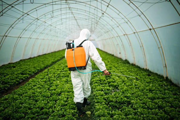 Best Pest Control Near Me  in Lampeter, PA