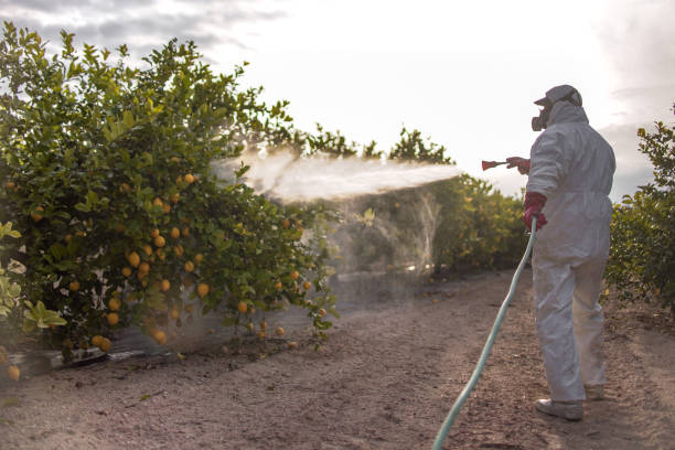 Best Pest Prevention Services  in Lampeter, PA