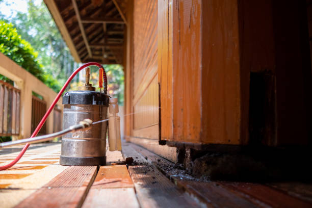 Best Local Pest Control Services  in Lampeter, PA